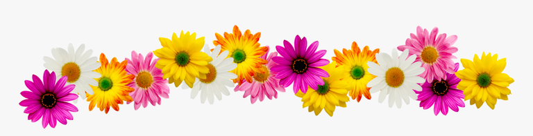 260-2600993_spring-clipart-border-spring-flowers-border-clipart-hd.png
