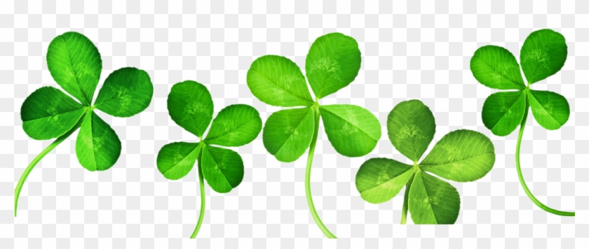 50-502384_four-leaf-clover-clip-art-4-leaf-clover-banner.png