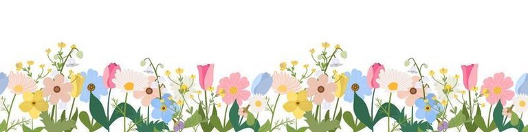 spring-or-summer-seamless-horizontal-border-with-blooming-flowers-on-white-background-multicolored-garden-flowers-in-row-banner-with-floral-pattern-vector.jpg