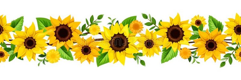 vector-horizontal-seamless-border-yellow-sunflowers-green-leaves-horizontal-seamless-border-yellow-sunflowers-vector-184014235.jpg